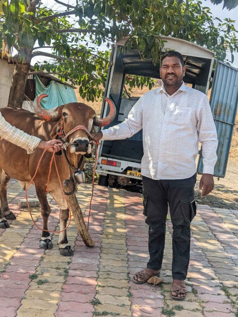 Strengthening herd sustainability